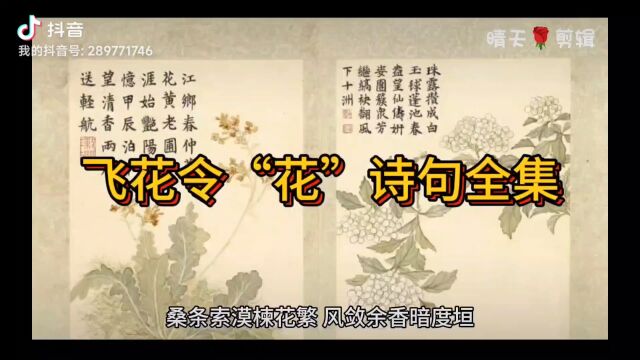 飞花令“花”诗句全集