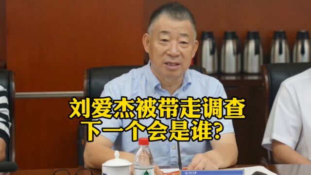 杜兆才之后,赛艇协会原主席刘爱杰被带走调查,下一个会是谁?