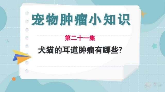 犬猫的二道肿瘤有哪些?#养宠进阶指南 #宠物知识小课堂 #科学养宠攻略