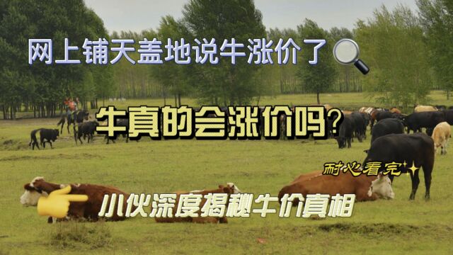 网上铺天盖地说牛涨价了,牛真的会涨价吗?小伙深度揭秘牛价真相