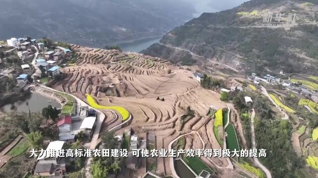 重庆奉节:推进高标准农田建设 春耕生产按下“加速键”