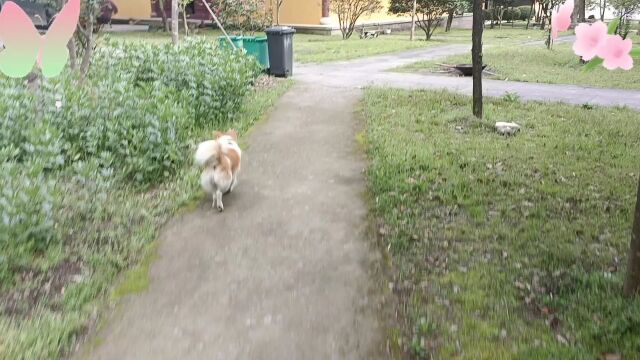 台州临海市千年古刹三峰寺