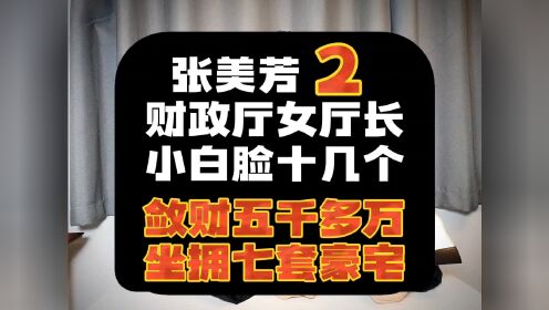 （第2集）江苏省财政厅女厅长张美芳，在七套豪宅里养了十几个小白脸。