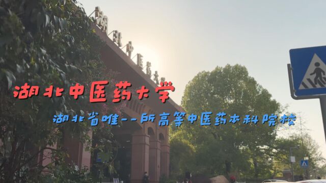 4月1日湖北中医药大学编辑好了