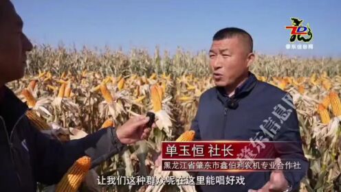 黑龙江省肇东市“藏粮于技”单产“吨粮田”撑起“米袋子”