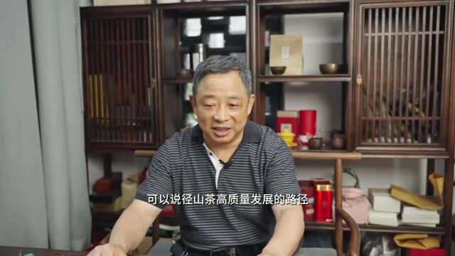 从饮茶到茶饮 径山茶如何高质量发展“多面”共进