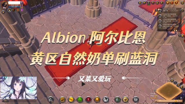 Albion 阿尔比恩黄区自然奶单刷蓝洞(自然奶)