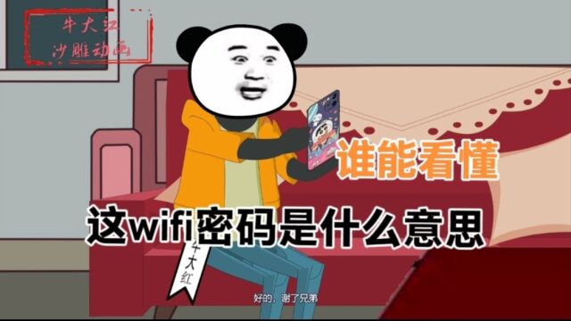 这wifi密码是什么意思