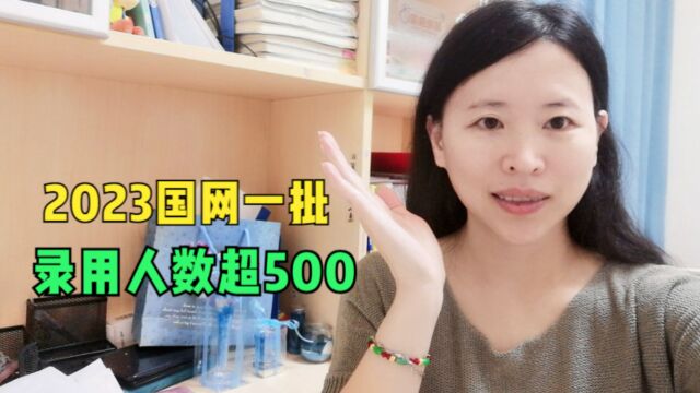 上海电力大学研究生进国网和能源公司的人数?