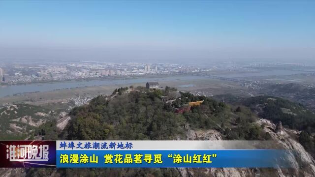 蚌埠文旅潮流新地标 浪漫涂山 赏花品茗寻觅“涂山红红”