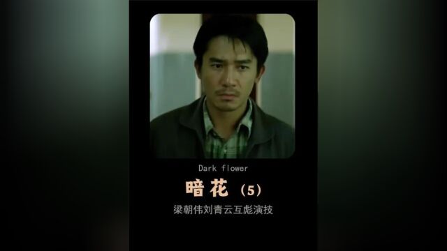 第5集:几乎完美的香港犯罪电影《暗花》梁朝伟刘青云互飙演技! #刘青云 #梁朝伟