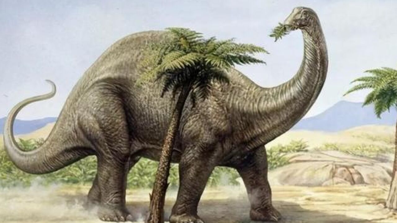 6.阿根廷龙,大战马普龙