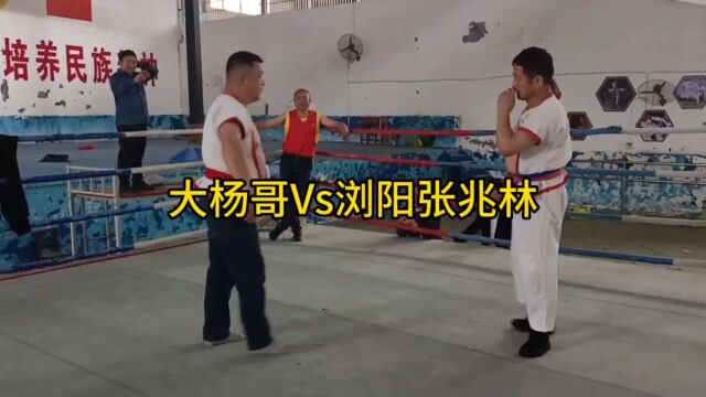 大杨哥VS浏阳张兆林