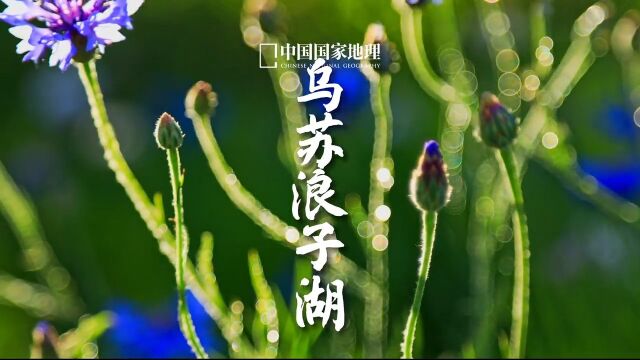 夏天就是要玩水,邂逅内蒙古阿尔山国家森林公园深处的意外之美.乌苏浪子湖水美绿草香,有“大兴安岭小江南”之美誉.