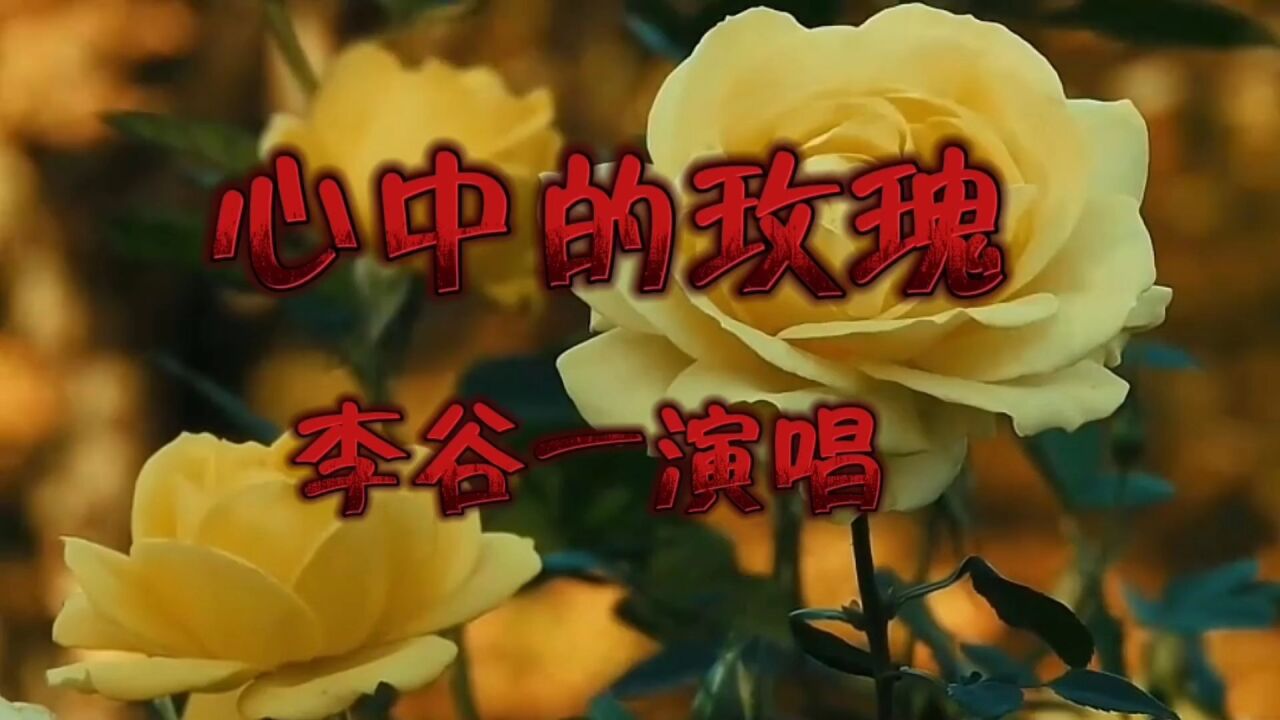 请欣赏李谷一演唱的歌曲《心中的玫瑰》