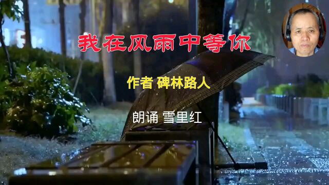 迎着风,我在雨中等你,我要记住你的样子