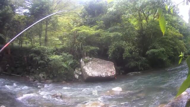 小河浑水钓鱼,这样才过瘾