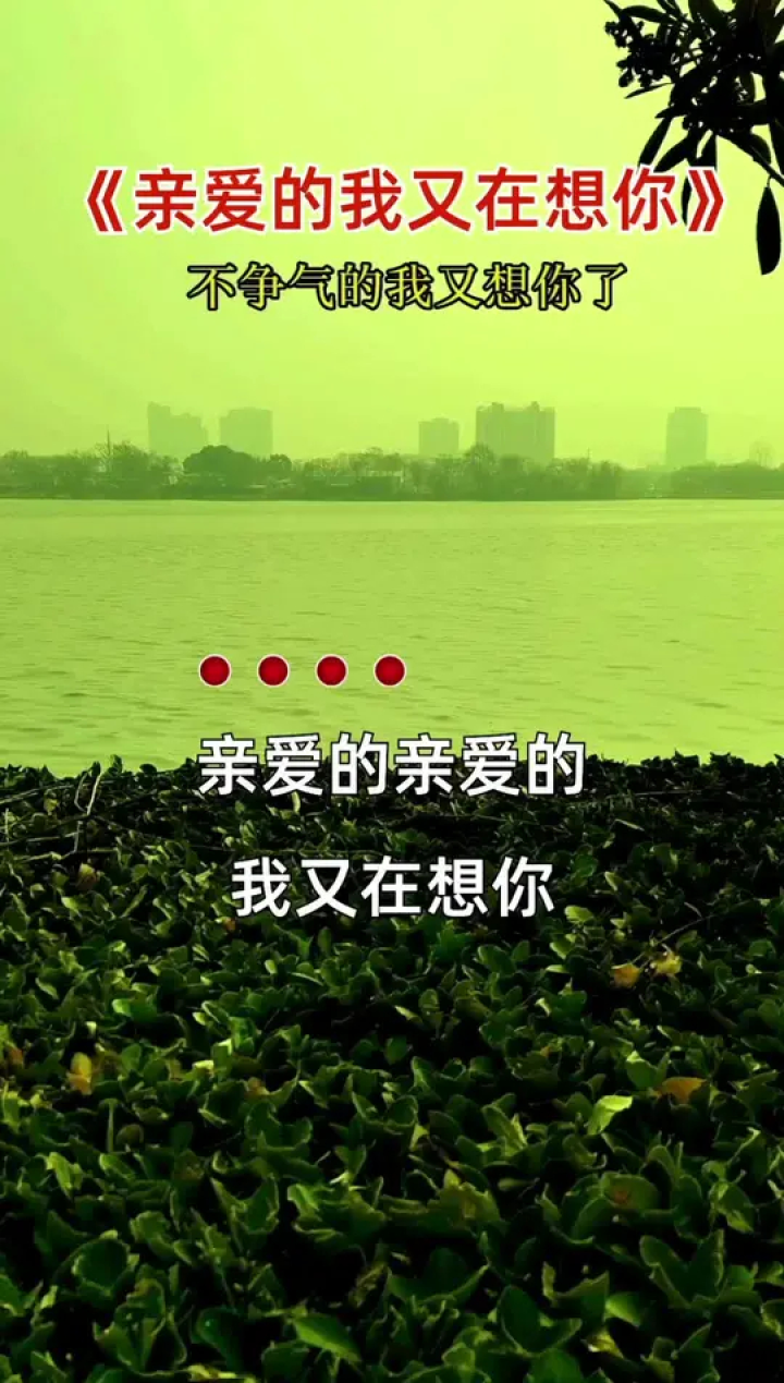 亲爱的亲爱的我又在想你,所有的思念都化作一声叹息…#想你了