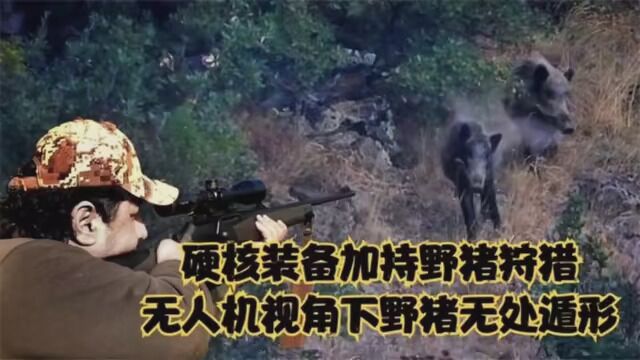 国外播放过百万的野猪狩猎,对野猪群的持续追击,让野猪群团灭? #视频来自国外合法狩猎 #国外合法狩猎精彩集锦