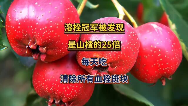 溶栓冠军被发现,是山楂的25倍,每天吃,清除所有血栓斑块