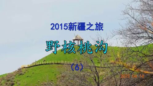 2015新疆之旅 野核桃沟（6） #带着老铁去旅行 #5月就该这样玩 #导游带你游中国