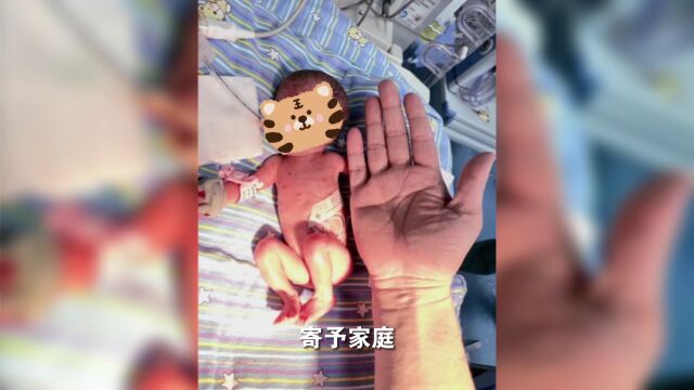 带您走进神秘的新生儿科重症监护室(NICU)