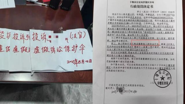 男子不满判决结果,两次写大字报诽谤法官被处罚