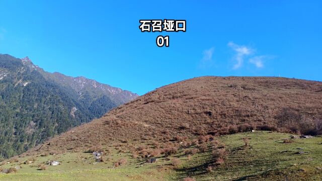 汶川卧龙石召垭口1,到达卓西牧场,雪山下遍地牛羊好美的草原