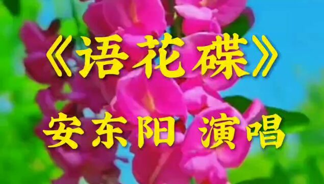 《语花蝶》安东阳演唱的一首歌