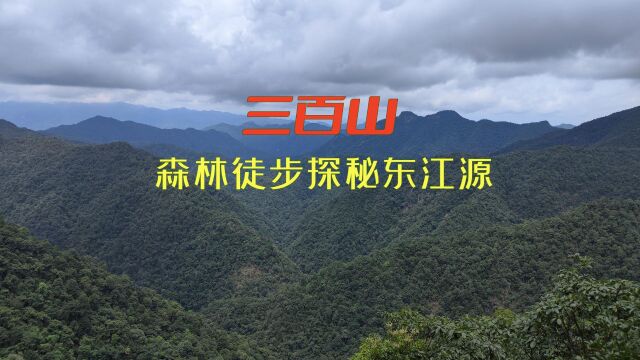 安远三百山,森林徒步探秘东江源