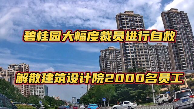 碧桂园大幅裁员进行自救,就地解散旗下建筑设计院2000名员工