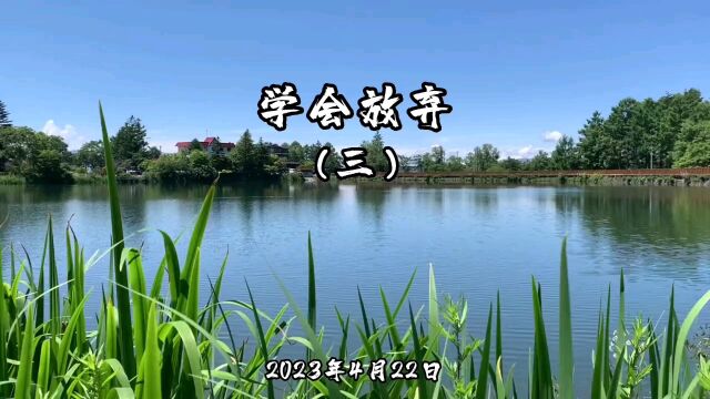 2023年4月22日学会放弃(三)