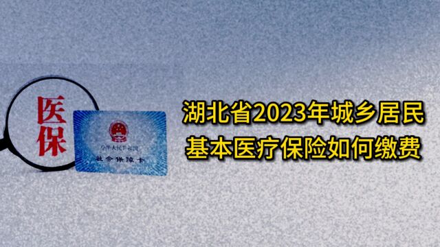 湖北省2023年城乡居民基本医疗保险如何缴费