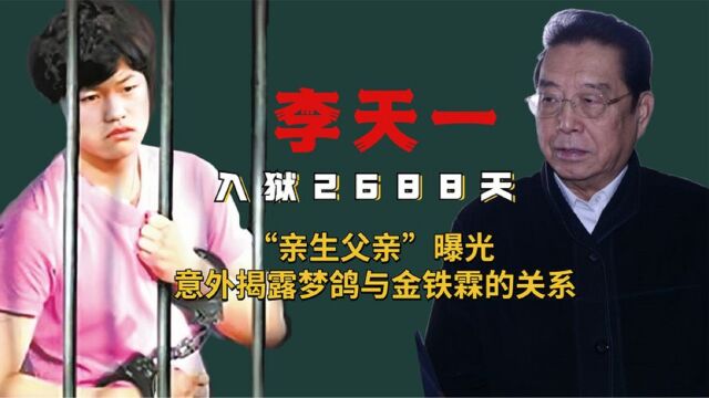 李天一入狱2688天,“亲生父亲”被质疑,揭露梦鸽与金铁霖关系