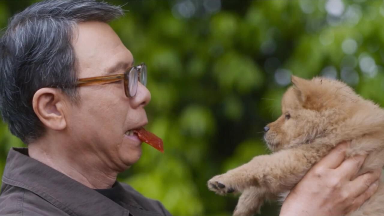 《忠犬八公》冯小刚路边捡到小狗拆肉脯竟然拆出"真钱",好尴尬