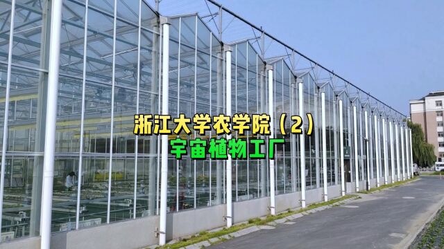 鱼菜高带你了解浙江大学校园里的宇宙植物工厂