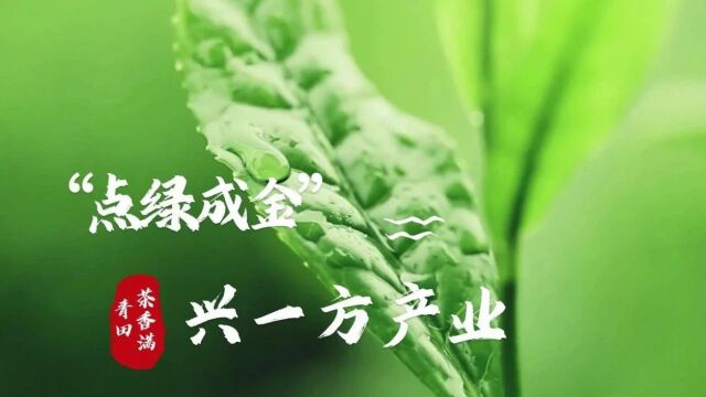 点“绿” 成金,靠的是一颗匠心