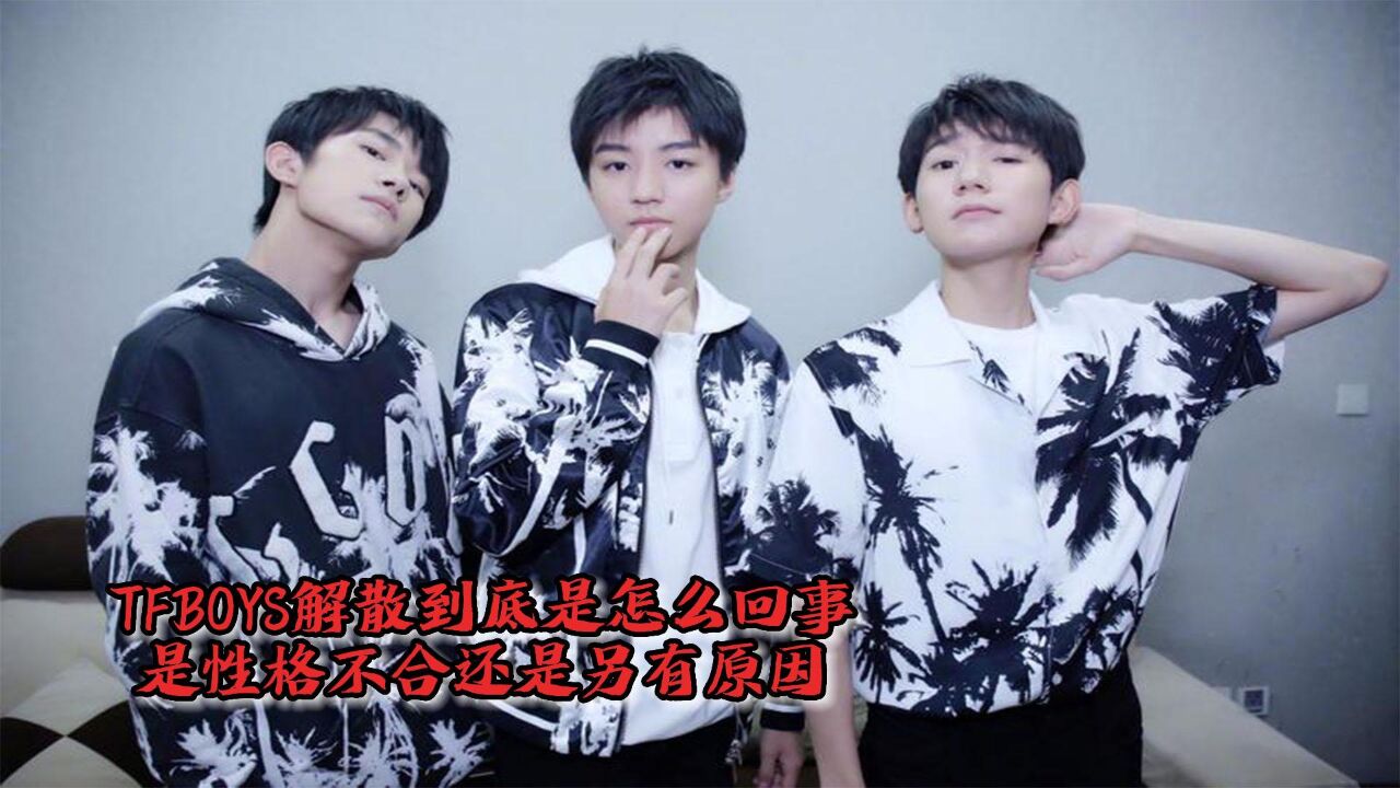 tfboys解散到底是怎么回事是性格不合还是另有原因