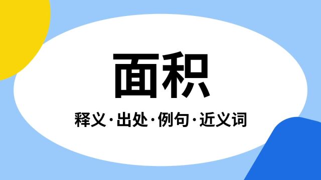 “面积”是什么意思?