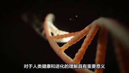 基因突变：探索DNA的变异之谜
