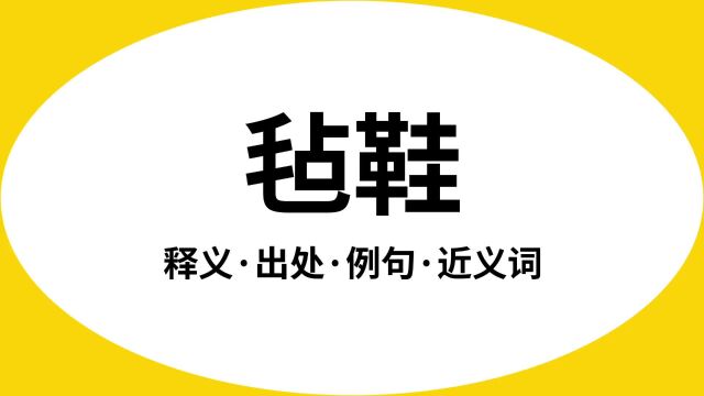 “毡鞋”是什么意思?