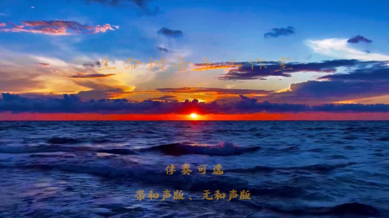 真爱起舞歌曲图片