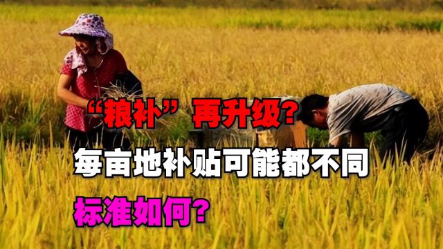 “粮补”再升级?2023年每一亩地补贴可能都不同,标准如何?