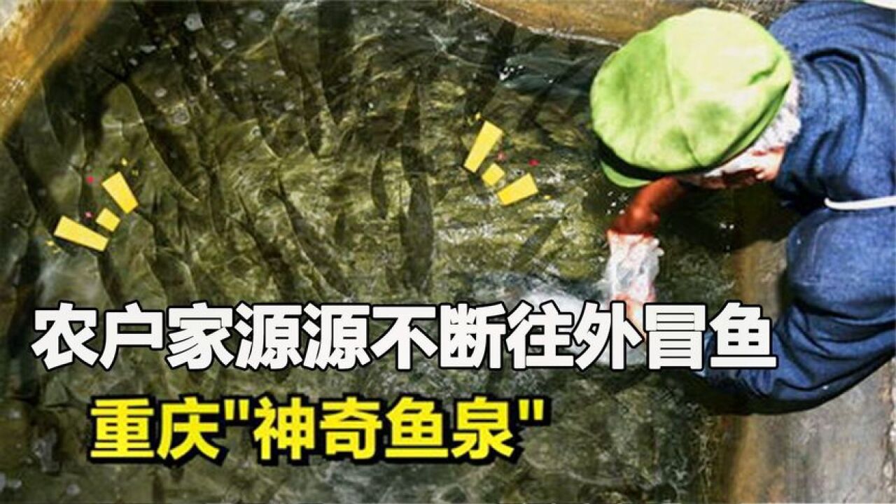 重庆老汉做梦变财富,在家中挖出神奇鱼泉,源源不断 "吐鱼"