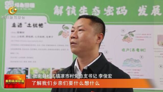 “我的衡阳 我的奋斗”人大代表风采 杜辉:乡村“代言人” “邮”通千万家