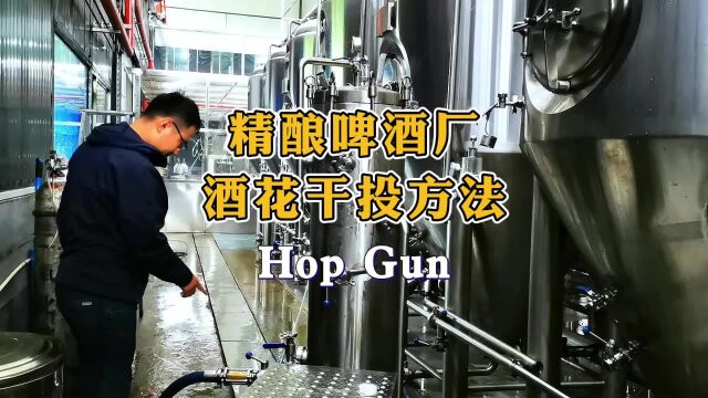 精酿啤酒厂酒花干投方法Hop gun