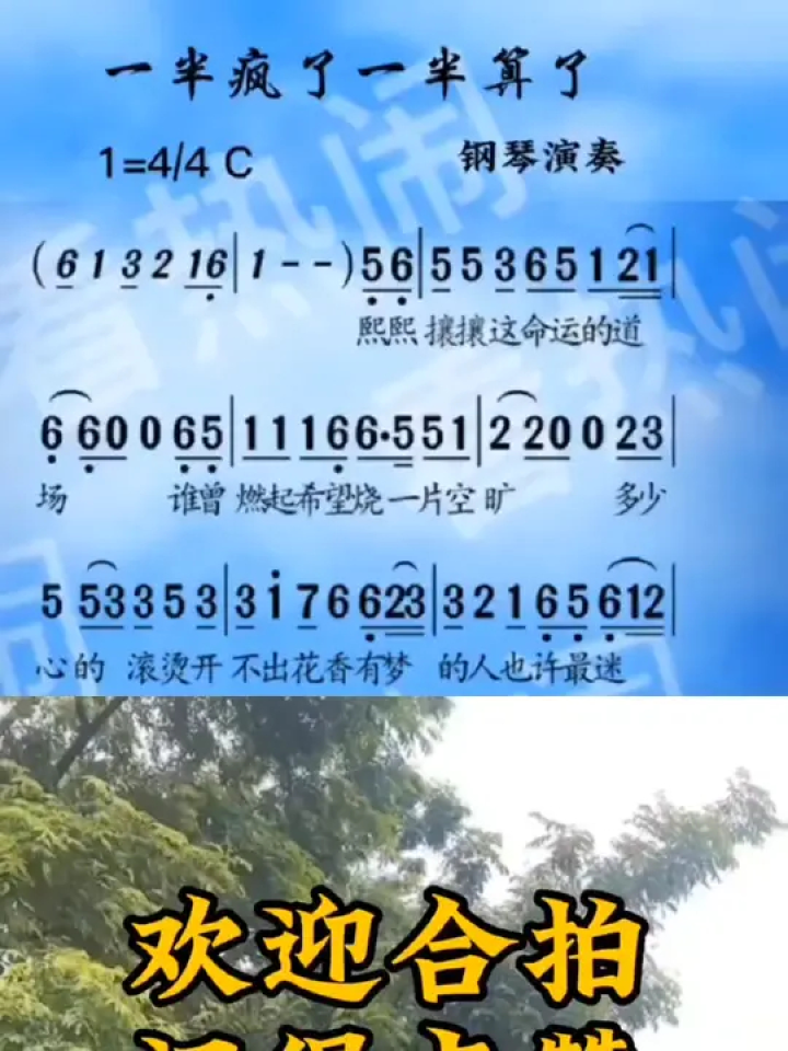 一半疯了一半算了#经典老歌 #动态曲谱 #乐器演奏 #合拍合唱伴奏