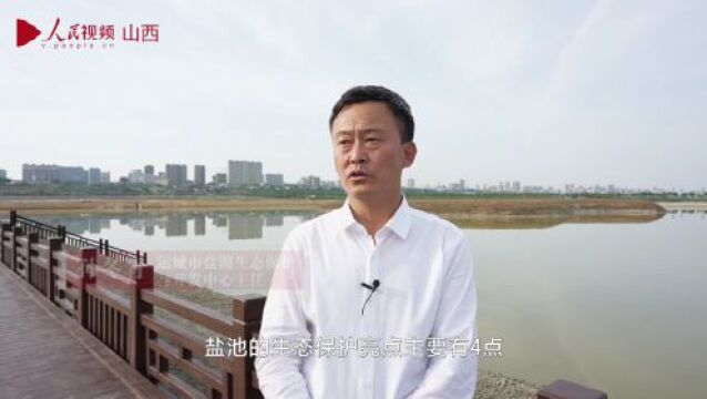 总书记刚刚来过这里 | “我们一定把盐湖的生态保护好、开发好、利用好”