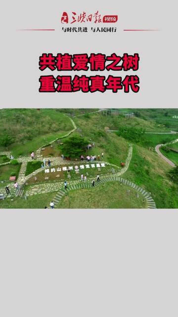 5月19日,近百对宜昌新人,在百里荒景区携手共植同心树,重温纯真时光