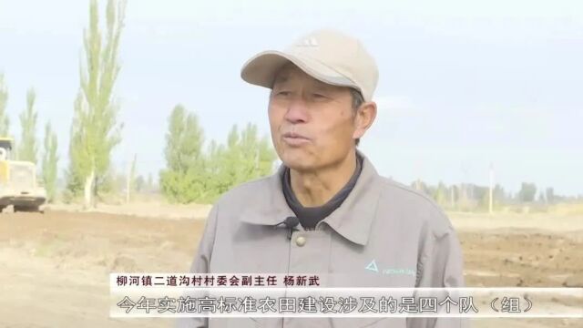 柳河镇:加快高标准农田建设 让乡村振兴“地”气十足